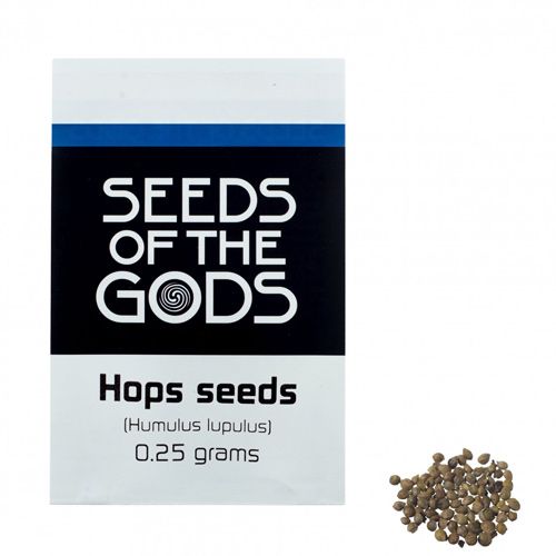 Hop zaden - 0.25g | Humulus Lupulus